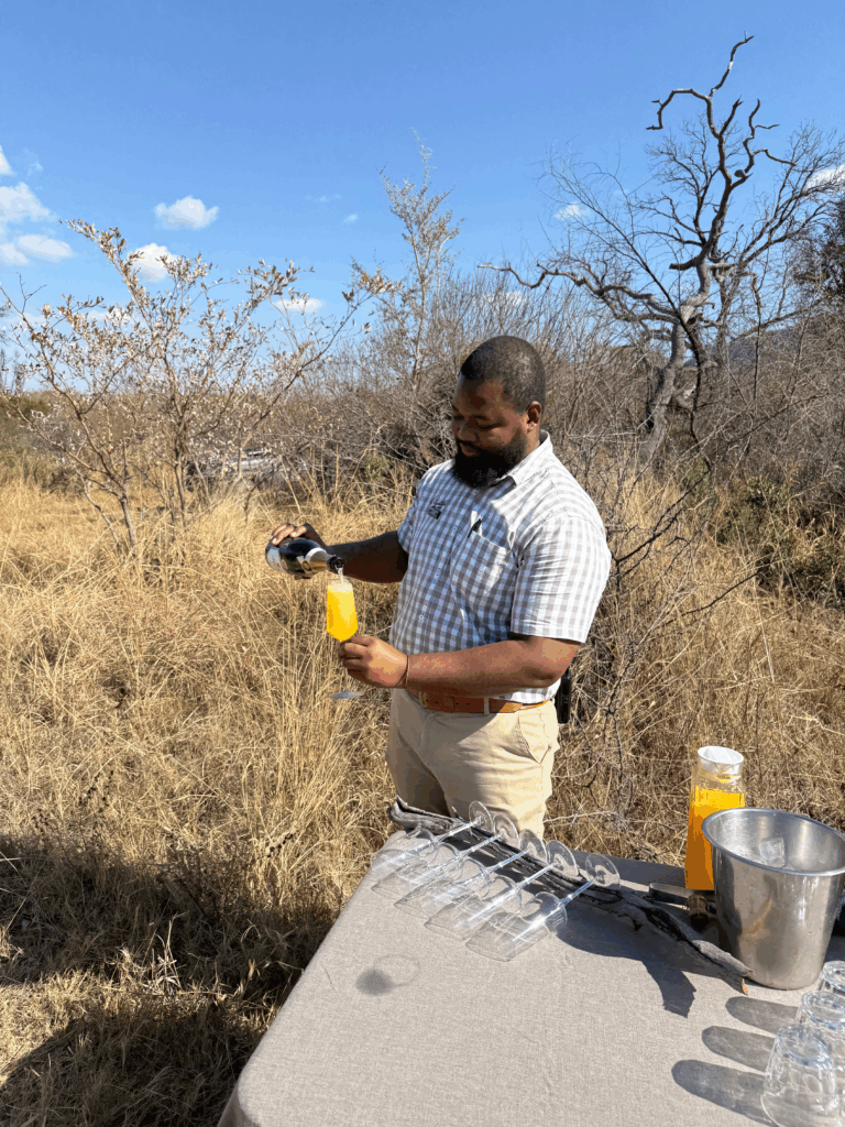 Luxury bush breakfast set beside an open safari vehicle in South Africa.