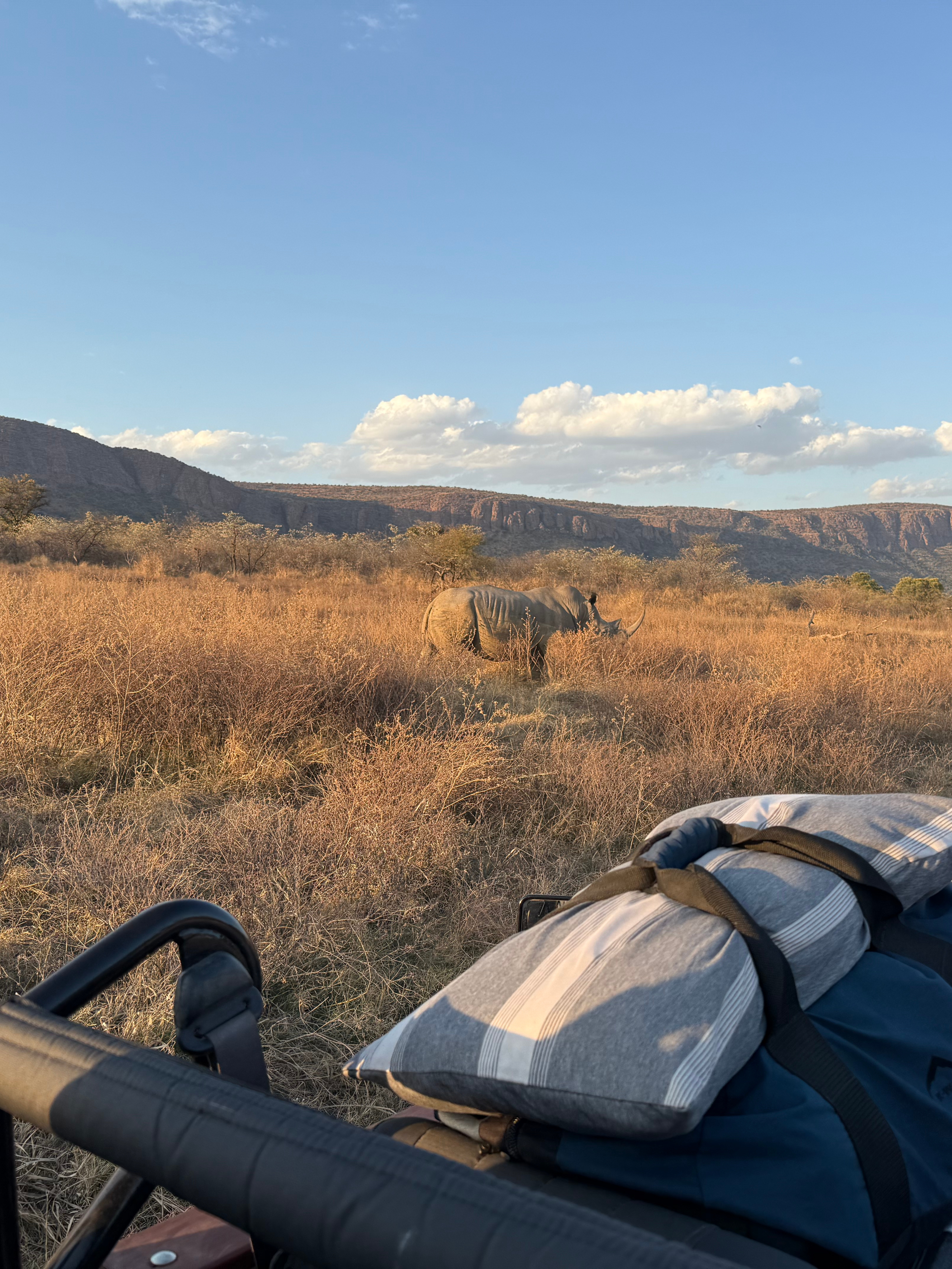 Close encounter with an African rhino during a luxury South Africa safari.