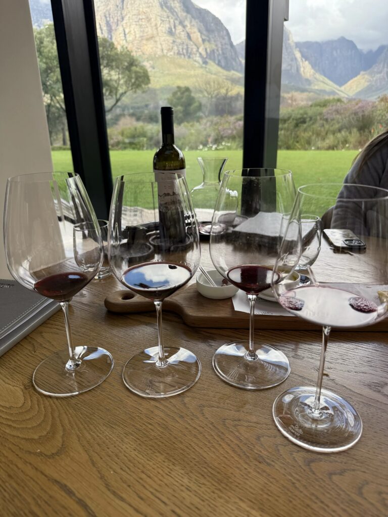 Red wine tasting flight at a luxury winery in South Africa's Cape Winelands.