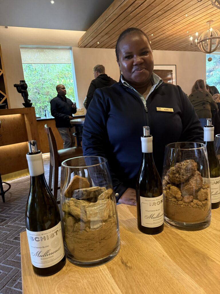 Winery host leading a wine tasting at a Cape Winelands vineyard.