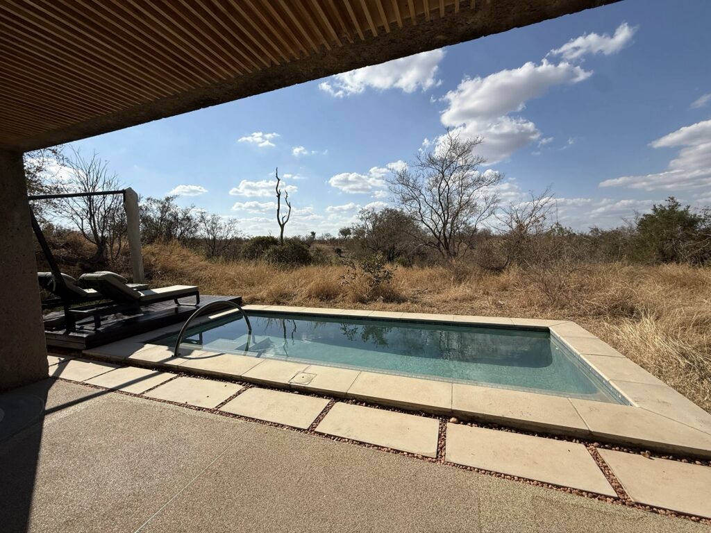 Private plunge pool overlooking the South African bush at Sabi Sands Earth Lodge.