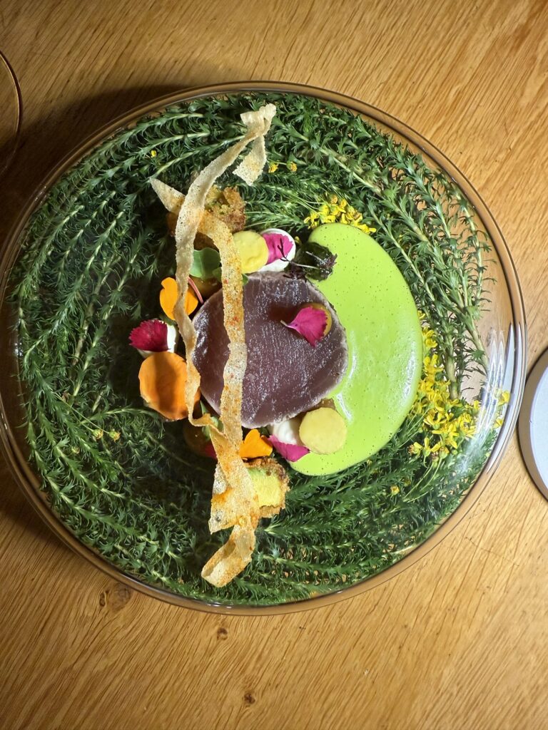 Gourmet dinner served at a luxury safari lodge in South Africa.