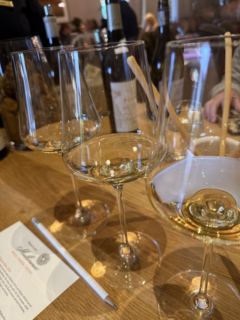 White wine tasting during a visit to the Cape Winelands in South Africa.
